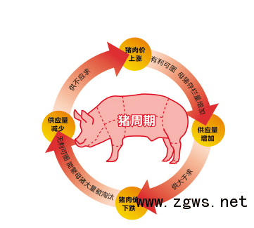 1,美国干旱导致大豆和玉米价格大幅上涨,间接推高了国内养殖成本。