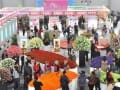 &ldquo;亚洲花都&rdquo;昆明斗南打造国际花卉产业园区云花产业全面升级