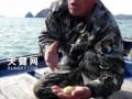 大连海参采捕人收获天价白玉参 被捐出搞科研