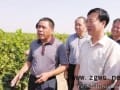 宁夏：世界高端酿酒葡萄的&ldquo;黄金地带&rdquo;（图）