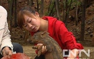 都市女孩嫁入山村之后(20120730)