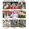 供应鹅苗 鹅苗价格 提供鹅苗技术 回收成品