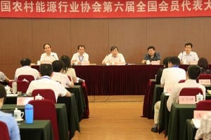 中国农村能源行业协会专家委员会在京成立