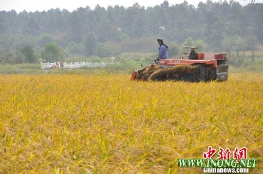 农业部:近期局部地方农地流转增速或有所放缓