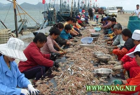 受冷空气影响海上捕捞减少 厦门海鲜价格或走高
