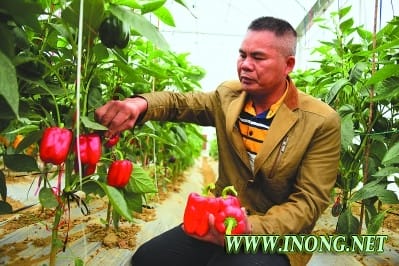 南靖：智慧农业让农民“洗脚上岸”