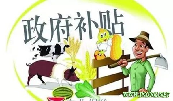 习近平明确2017年农业农村工作主线
