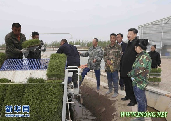农业供给侧结构性改革怎么做,习近平这样说