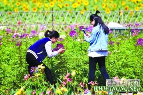 以&ldquo;农业+&rdquo;发展新型生态农场