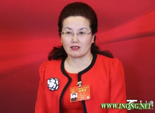 代表委员建言献策:“农业大区”如何蹄疾步稳奔向“农业强区”