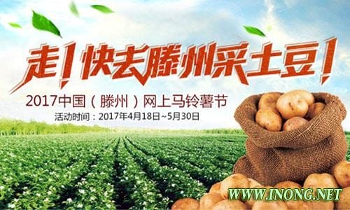 惠农助农玩电商 2017中国(滕州)网上马铃薯节即将开幕