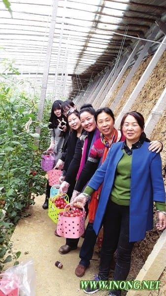 科技支撑,引领高效生态农业