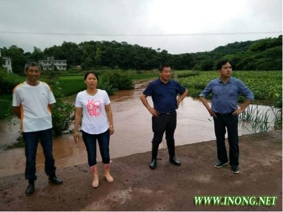 严防死守,湖南衡南县泉湖镇党员干部众志成城战洪魔