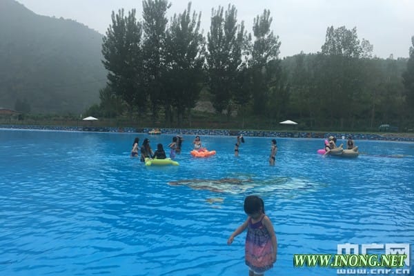 人间花海:乡村旅游寻求新的突破