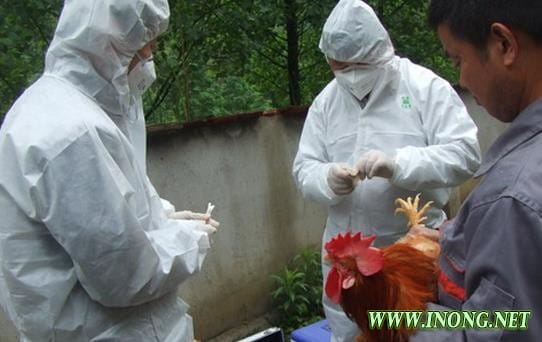 农业部:我国全面进入汛期 加强洪涝灾害动物疫病防控