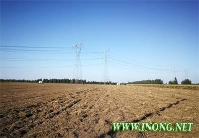 沈阳“问题大葱”回访:农药销售总体规范 个别仍售甲拌磷