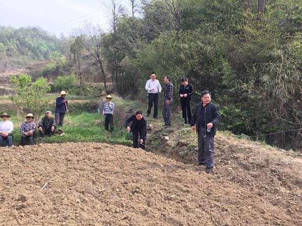 湖北郧西:稳定粮油生产,助推脱贫攻坚