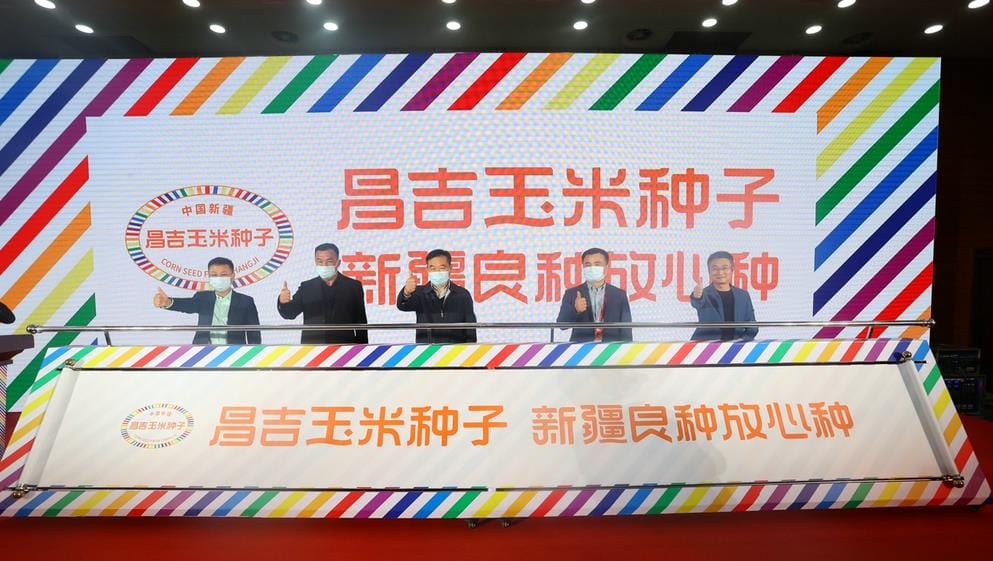 新疆昌吉:品牌化打响种业振兴“第一枪” 新疆昌吉:品牌化打响种业振兴“第一枪”