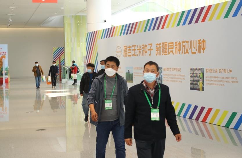新疆昌吉:品牌化打响种业振兴“第一枪” 新疆昌吉:品牌化打响种业振兴“第一枪”
